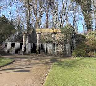 Botanischer Garten - Rombergpark