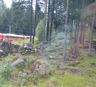 Zugblick