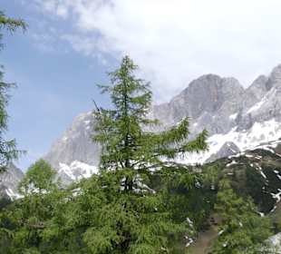 Blick aus der Gondel