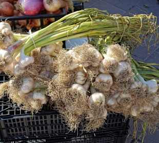 Rundgang über den Wochenmarkt Nuoro