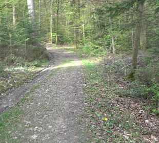 Walderlebnisweg Rottenburg