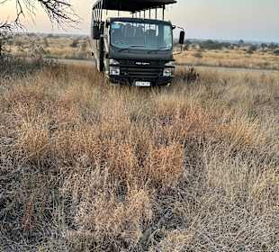 Safari Hoedspruit