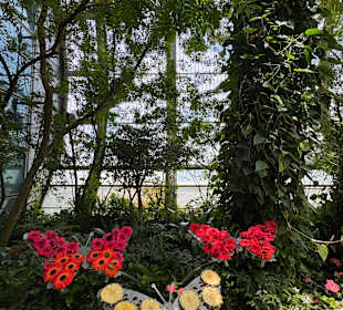 Schmetterlingsgarten 