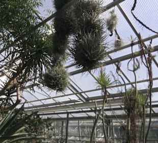 Botanischer Garten
