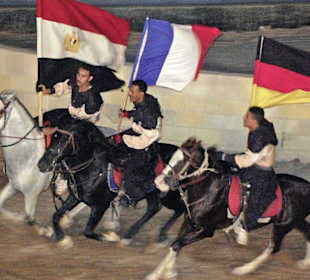 Reiter-Show