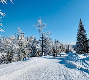 Wandern Weissensee