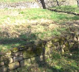 Hirschauer Spitzbergwegle (Premiumspazierwanderweg