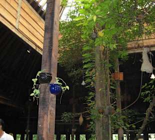 Das Thairestaurant in den Mangroven