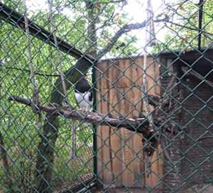 Tierpark