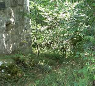 Burgruine Blankenstein