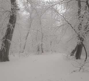 Wandern Tiflis / Tbilisi