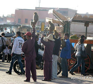 Marrakech
