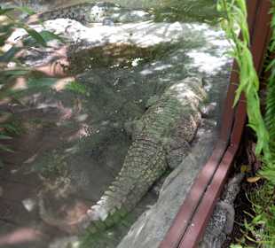 Diamante Eco Adventure Park