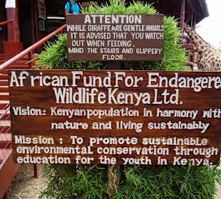 Aufgang zur Plattform