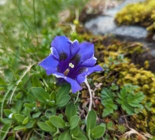 Wandern Bramberg am Wildkogel