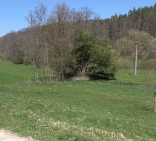 Waldkulturerbe Neuweiler Viehweide