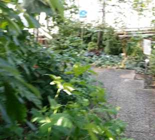 Botanischer Garten 
