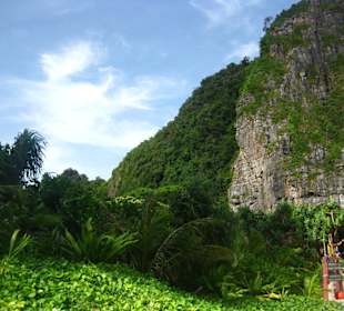 Maya Bay - The Beach