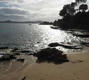 Cala Fornells - kleiner Sandstrand