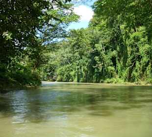 Flossfahrt auf dem Great River