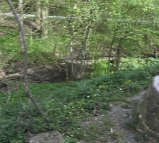 Barfußpfad Firstwald
