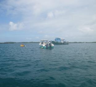 Auf dem Weg nach Tintoteras, Galapagos