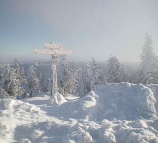 Wegweiser am Brockenplateau