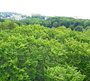 Ausblick
