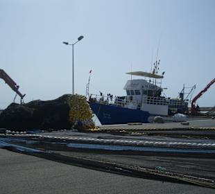 Fischerhafen