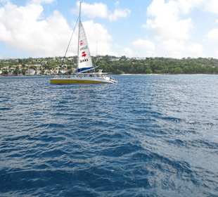 Küste von Barbados