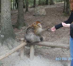 Fütterung aus der Hand
