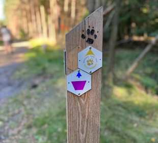 Nationalpark Hoge Kempen