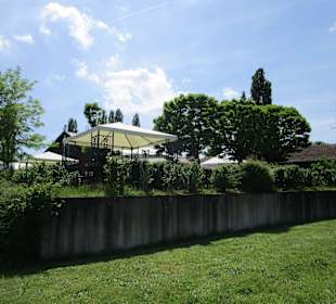 Straußenfarm Mhou Rülzheim