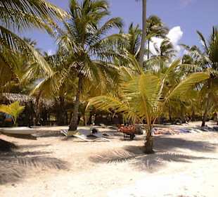 Isla Saona