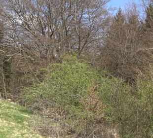 Naturreservat Beutenlay