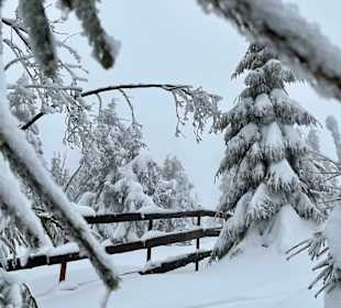 Wandern Oberwiesenthal