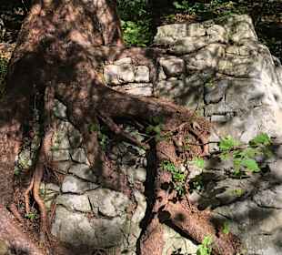 Wandern Berchtesgaden