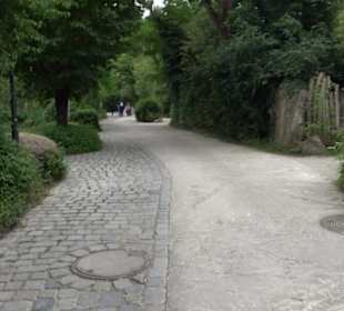 Tierpark Hellabrunn - Welt der Affen