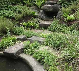 Alter Botanischer Garten