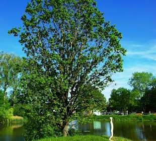 Kunst auf einer Insel am Teich
