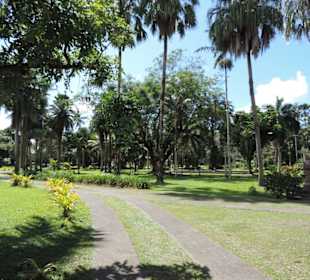 Im Garten des Museums