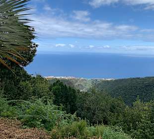 Inselrundfahrt La Palma