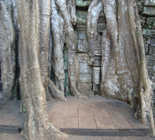 Angkor wat