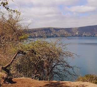 Chala-See