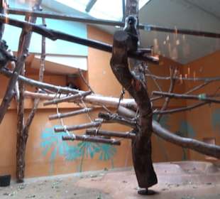 Tierpark Hellabrunn - Welt der Affen