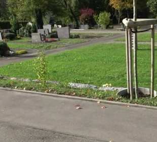 Stadtrundgang Tettnang