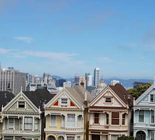 Painted Ladies