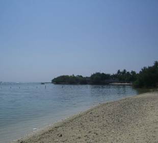 Island Hopping