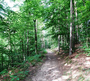 Wanderung durch die Kleine Luxemburger Schweiz