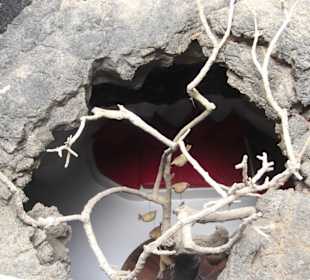 Blick vom Haus in eine der Lavablasen